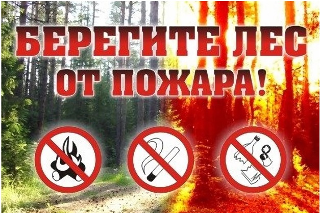 Единый день «Профилактики возникновения лесных пожаров».
