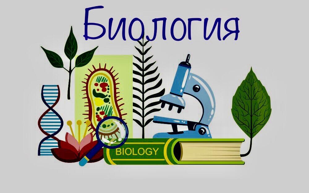 Муниципальные предметные онлайн-недели педагогов центров &amp;quot;Точка роста&amp;quot;.